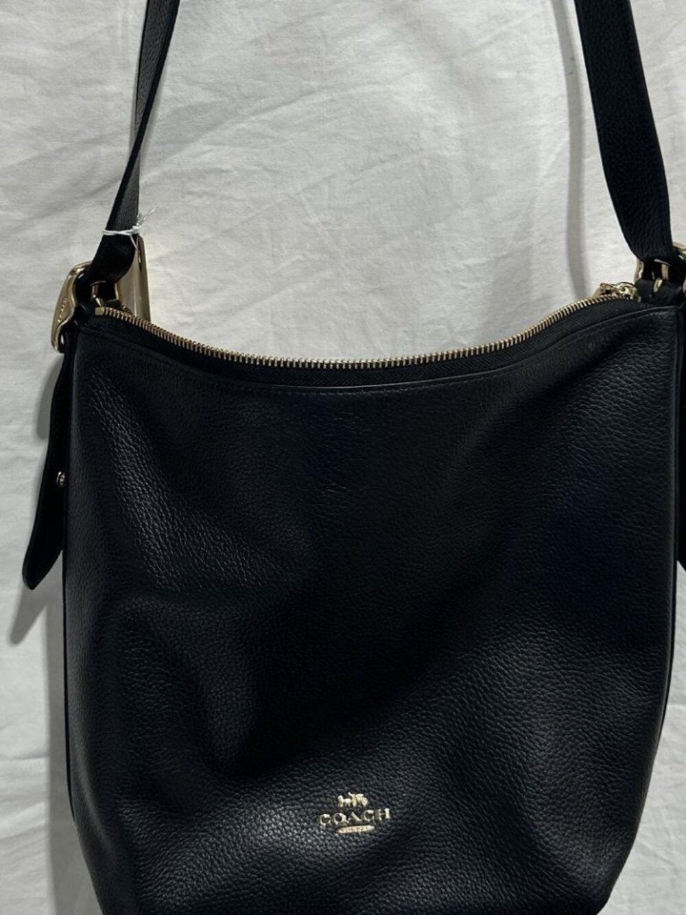 Coach Skylar Hobo Bag